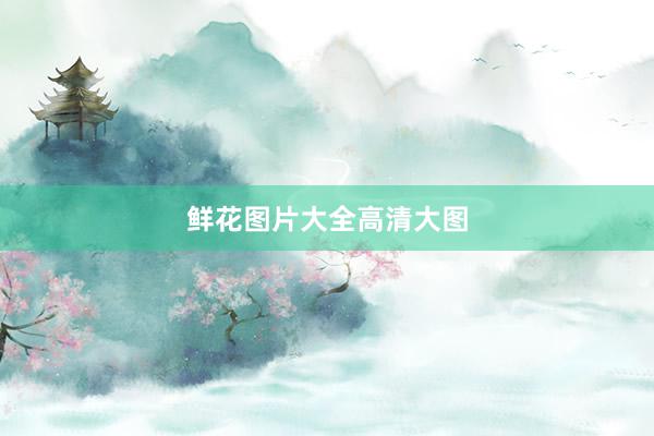 鲜花图片大全高清大图